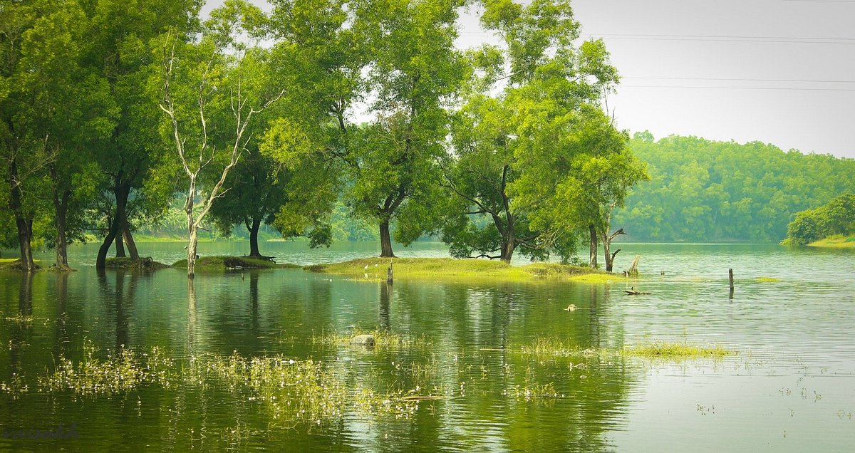 Kakkayam Dam