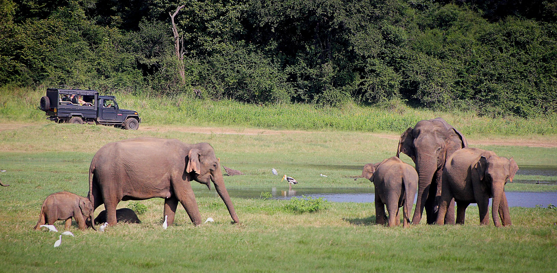 Agniveer Notes -  National Parks of India