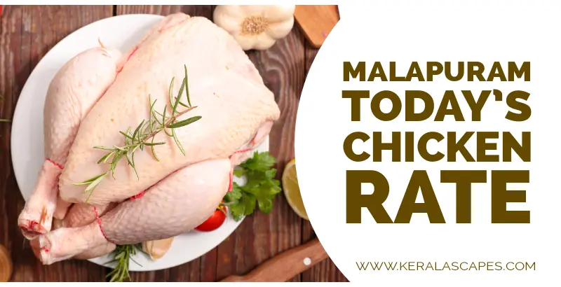 Chicken Rate Today in Malappuram