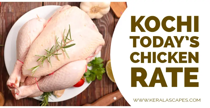 Chicken Rate Today in Kochi