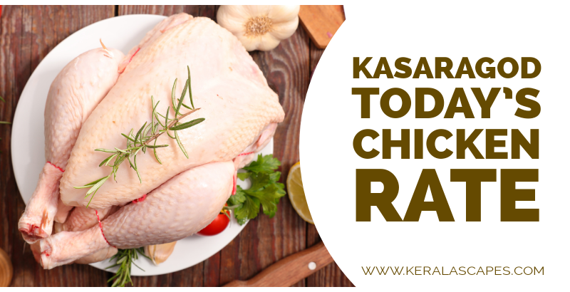 Chicken Rate Today in Kasaragod 