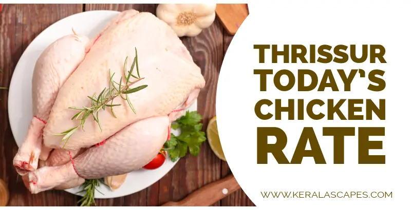 Chicken Rate Today in Thrissur