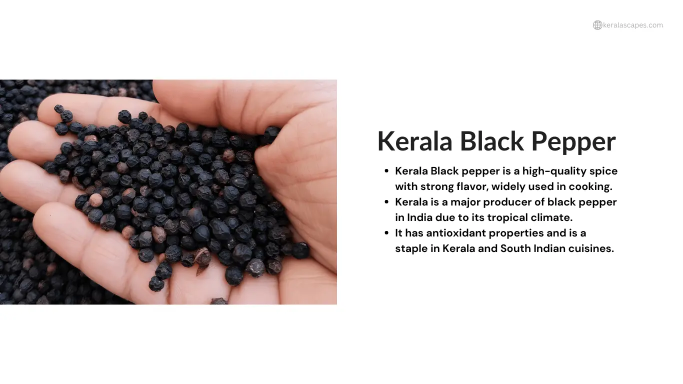 Kerala Black Pepper