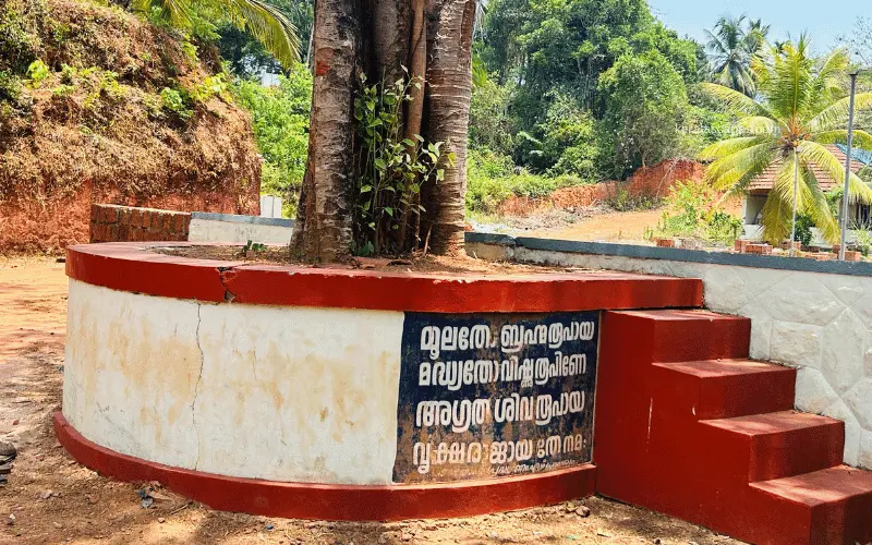 Ponmeri Shiva Temple Tree